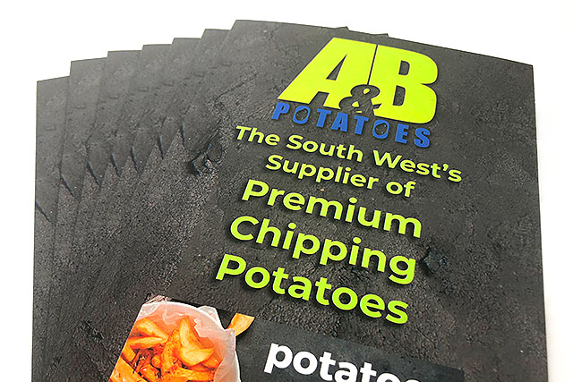 A&B Potatoes brochure front close up view